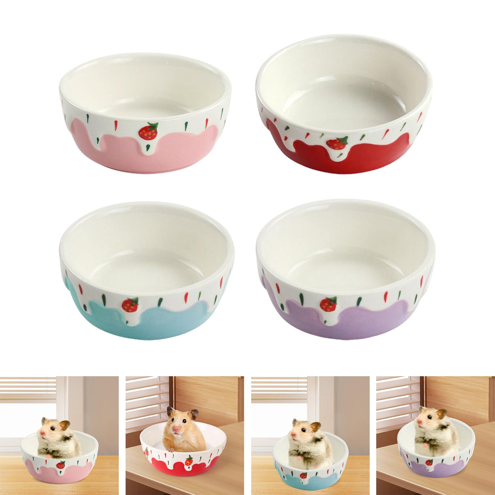 Cuenco de comida para hámster, - Baby Food Gerber reseña y precio