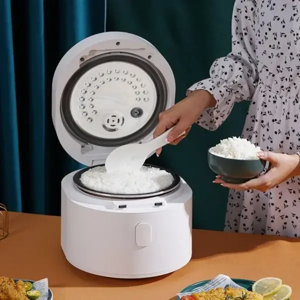 Olla arrocera inteligente de 1 - Baby Food Japan reseña y precio